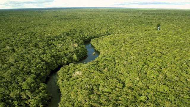 Desmatamento na Amazônia cai 60% em janeiro de 2024