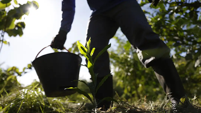 Foto: Fernando Frazão/Agência Brasil&nbsp;