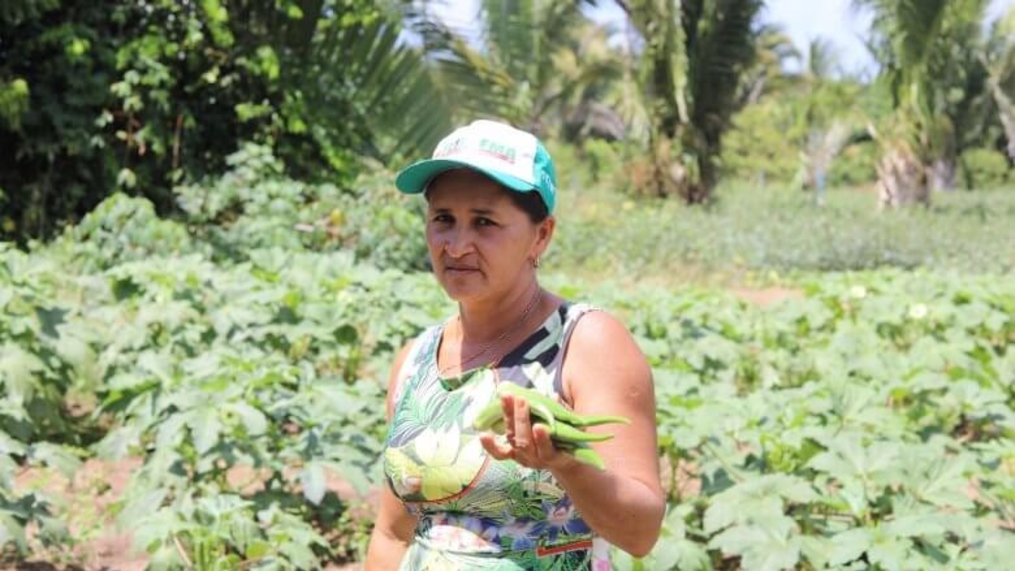 Agricultores do Maranhão temem fim de políticas