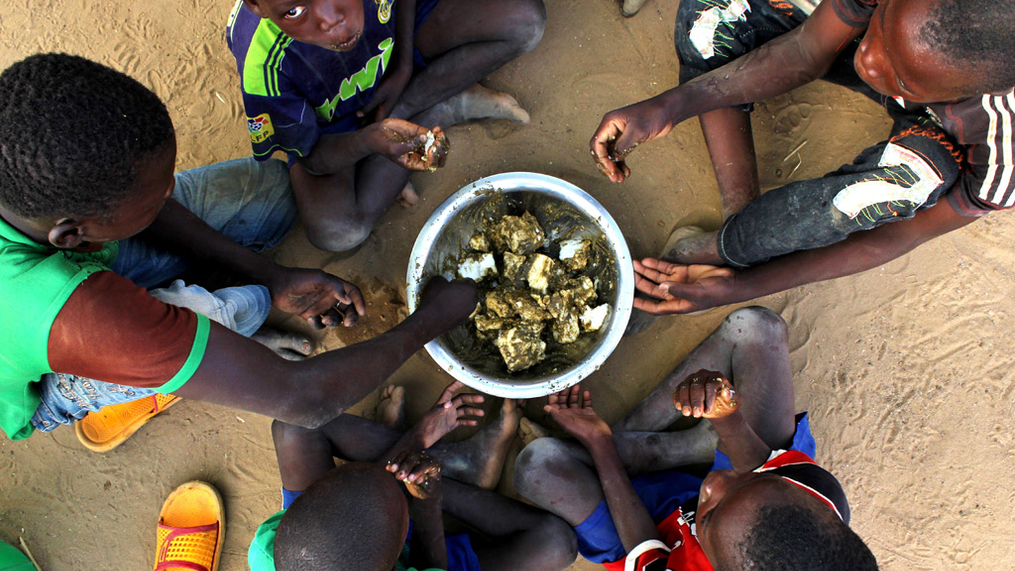 Brasil e ONU divulgam iniciativas de cooperação que levaram o Fome Zero para a África