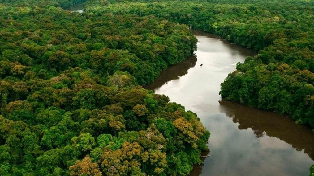 Com Lula, ritmo de desmatamento da Amazônia caiu