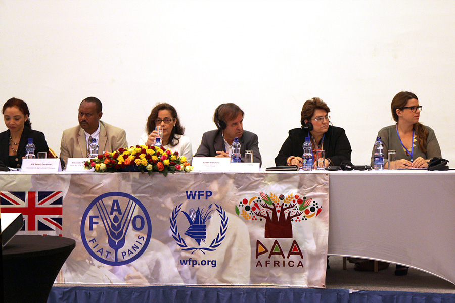 Delegação brasileira fala na Etiópia sobre combate à fome para países africanos