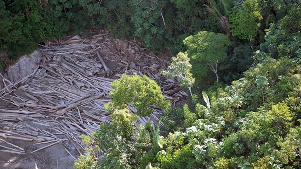 Sem política ambiental, desmatamento bate recorde