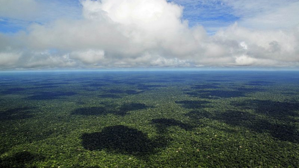 Estão vendendo a maior reserva florestal do mundo pra estrangeiro explorar