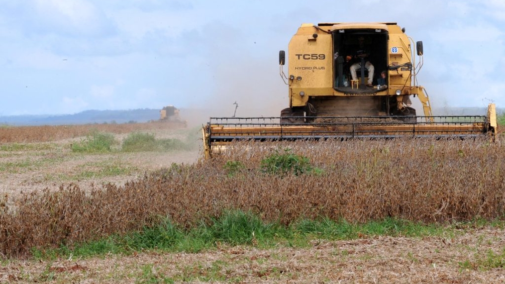 FAO: agricultura amorteceu crescimento fraco da economia brasileira