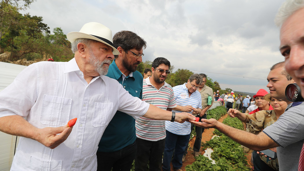 Montes Claros: visita a projeto de irrigação por gotejamento