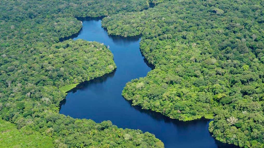 Projeto de lei reduz área de preservação de florestas em áreas sensíveis