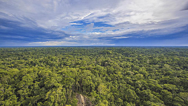 Governo Federal anuncia investimento de 2 bilhões para segurança na Amazônia Legal