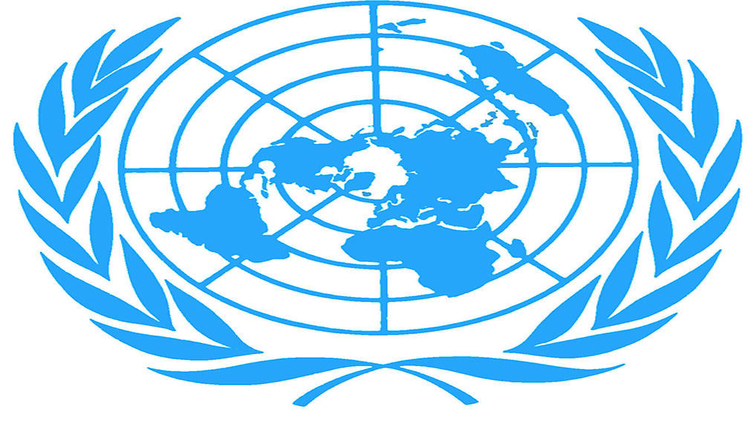Reprodução ONU