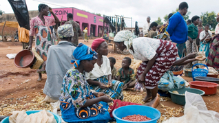 Foto: FAO-Zâmbia
